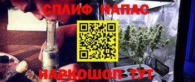 крисы Краснодар