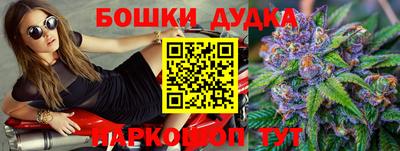 крисы Краснодар