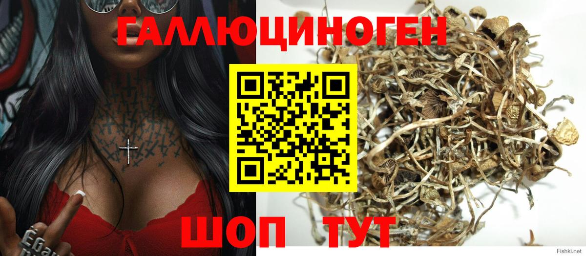 Псилоцибиновые грибы Psilocybe  Псилоцибиновые грибы мухоморы  Вход с VPN  Янаул 